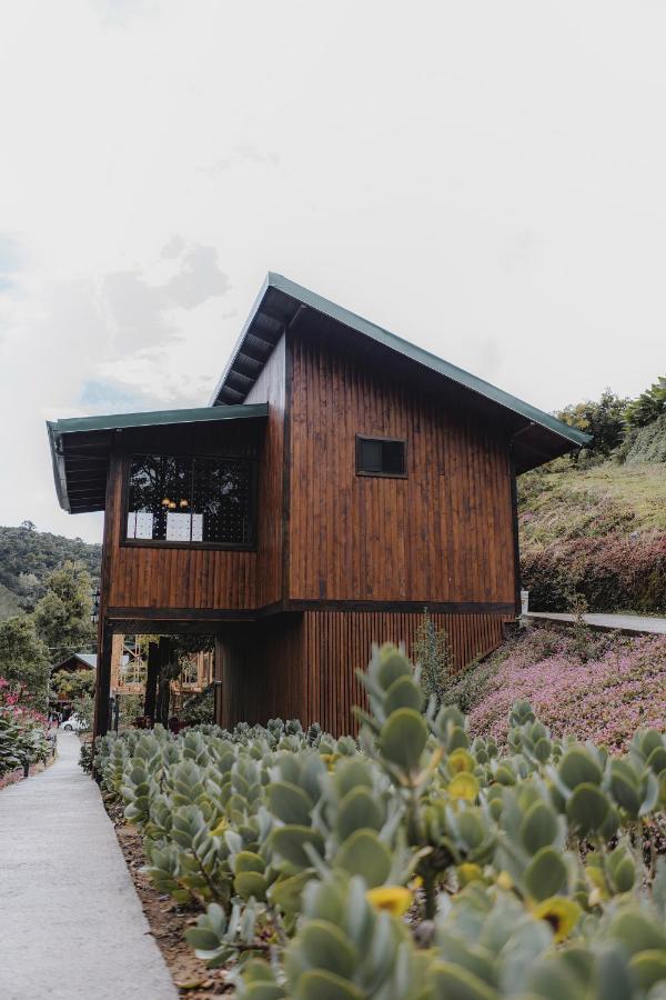 Lauraceas Lodge San Gerardo de Dota Εξωτερικό φωτογραφία