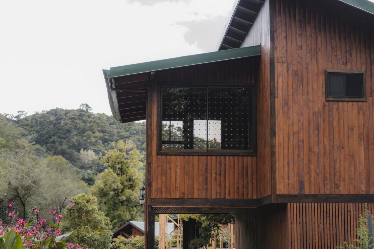 Lauraceas Lodge San Gerardo de Dota Εξωτερικό φωτογραφία